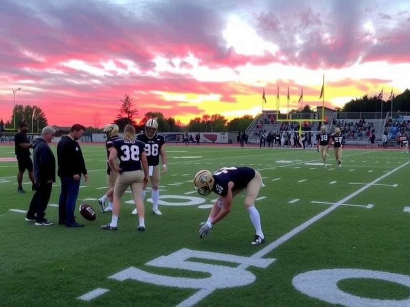 Aerial view of a beautifully planned virtual township with green fields and organized buildings