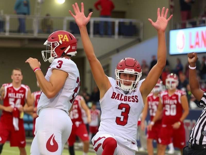 Aerial view of Clinton Township, Michigan showing residential areas and greenery